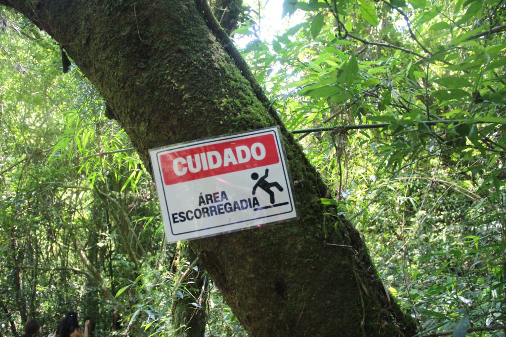 2ª Caminhada da Natureza - Reserva - PR