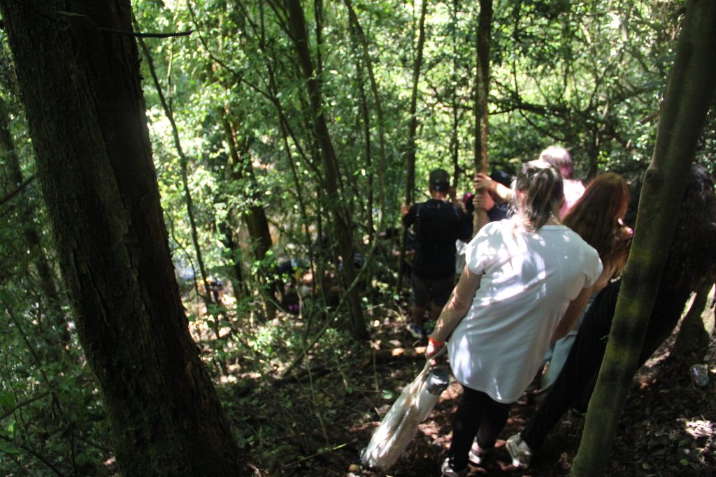 2ª Caminhada da Natureza - Reserva - PR