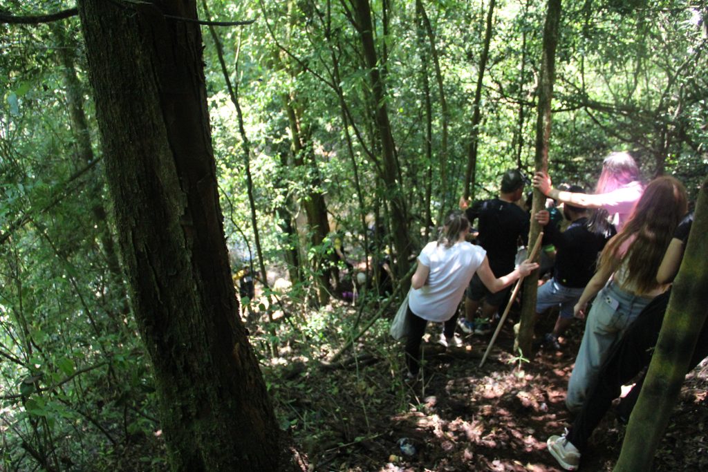 2ª Caminhada da Natureza - Reserva - PR