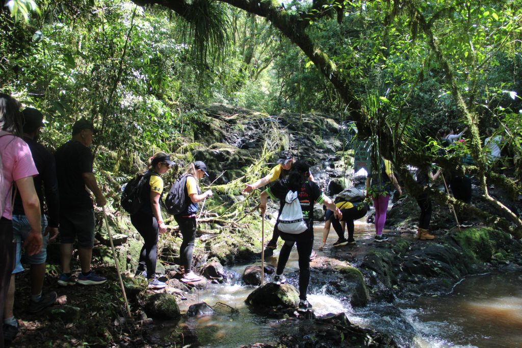 2ª Caminhada da Natureza - Reserva - PR
