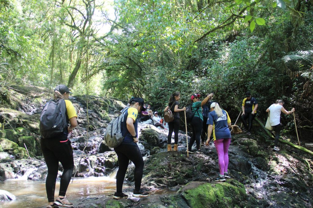 2ª Caminhada da Natureza - Reserva - PR