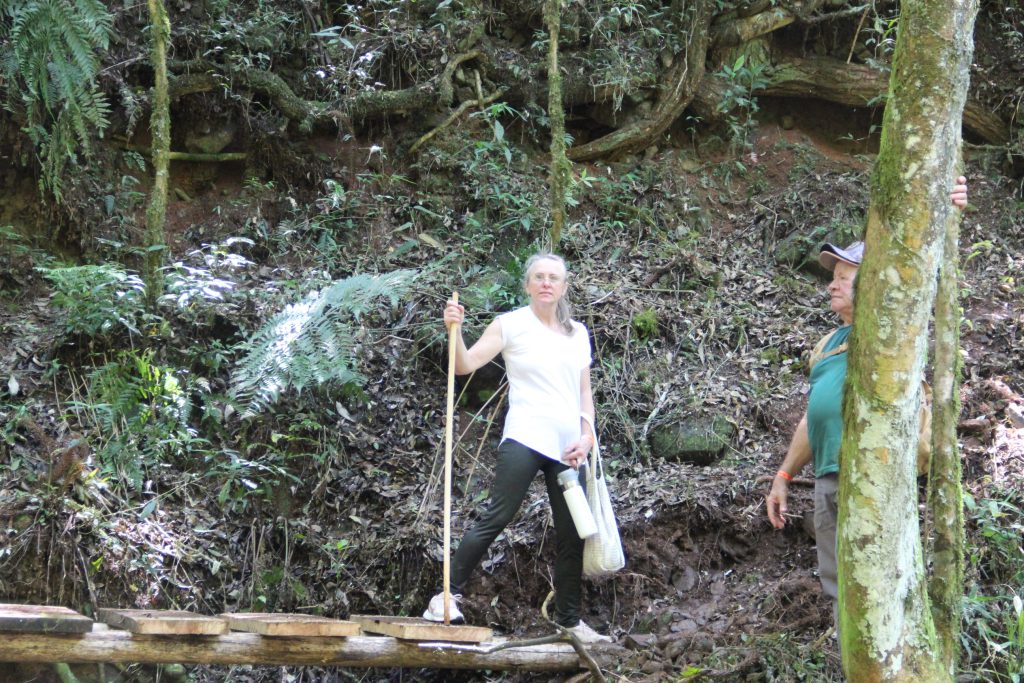 2ª Caminhada da Natureza - Reserva - PR