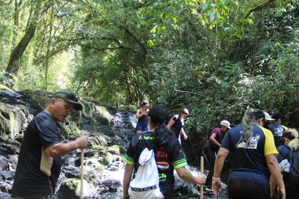 2ª Caminhada da Natureza - Reserva - PR