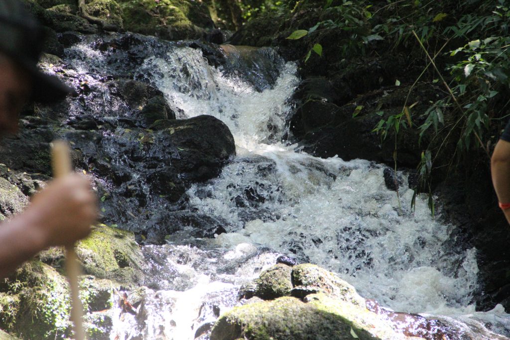 2ª Caminhada da Natureza - Reserva - PR