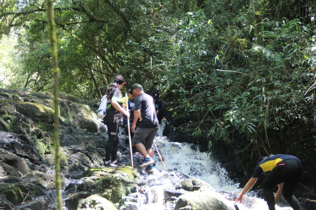 2ª Caminhada da Natureza - Reserva - PR
