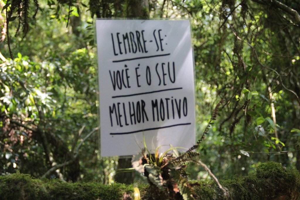 2ª Caminhada da Natureza - Reserva - PR