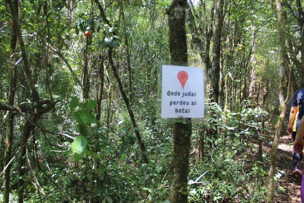 2ª Caminhada da Natureza - Reserva - PR