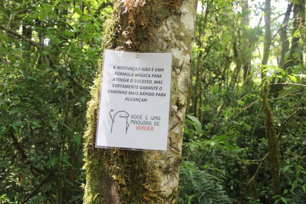 2ª Caminhada da Natureza - Reserva - PR